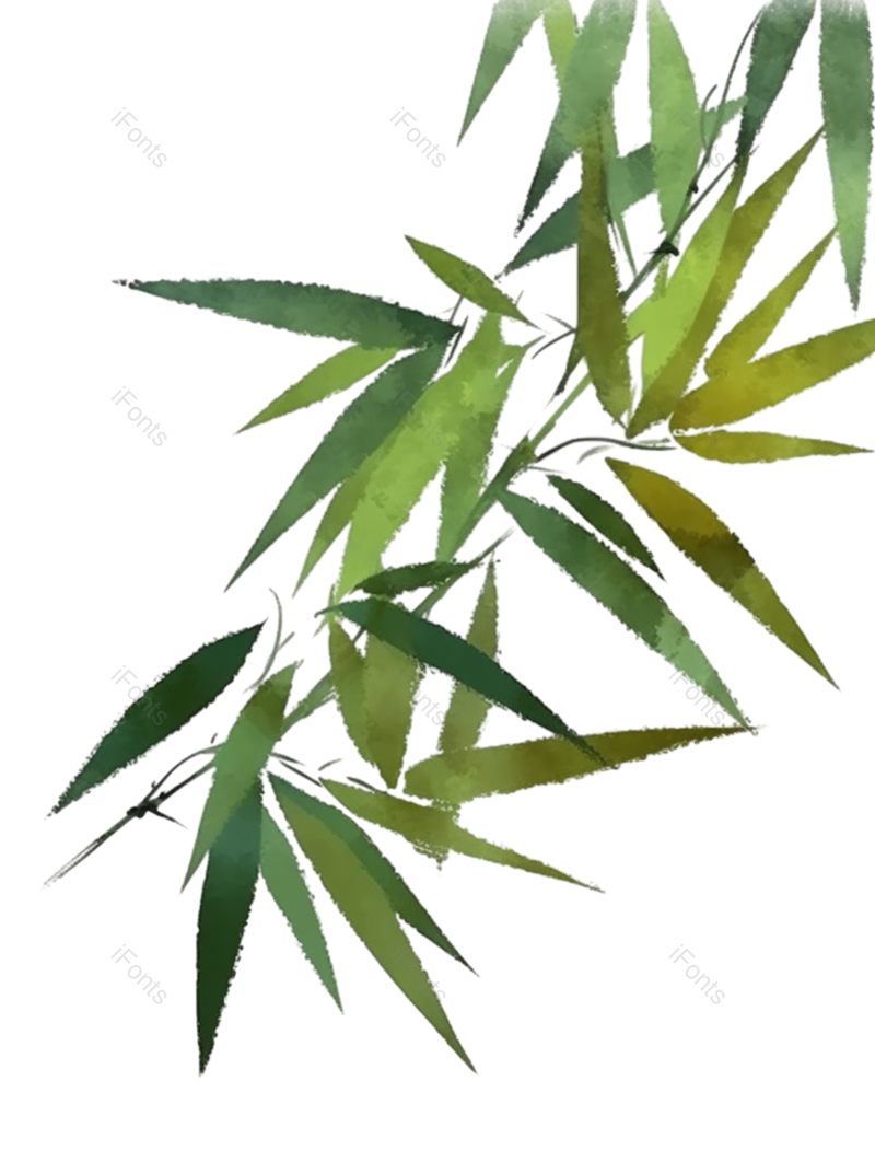 叶子图片,纹理元素,元素PNG,插画免抠素材